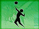TVE Volleyball
